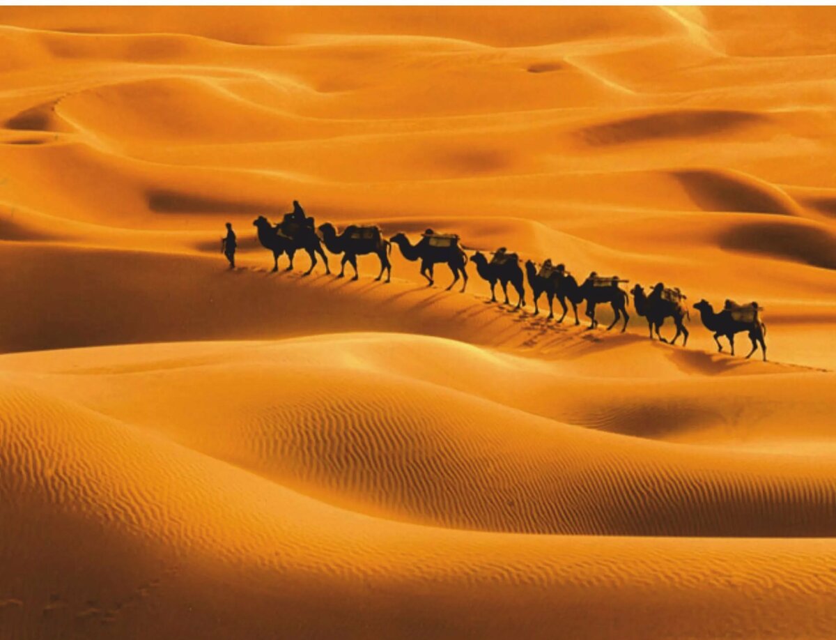 Шелковый путь Караван верблюдов