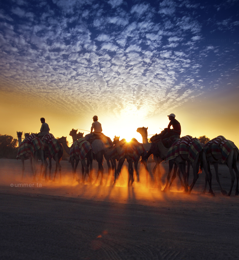 Караван картинка. Караван верблюдов. Караван в пустыне. Верблюд в пустыне. Караван верблюдов в пустыне.