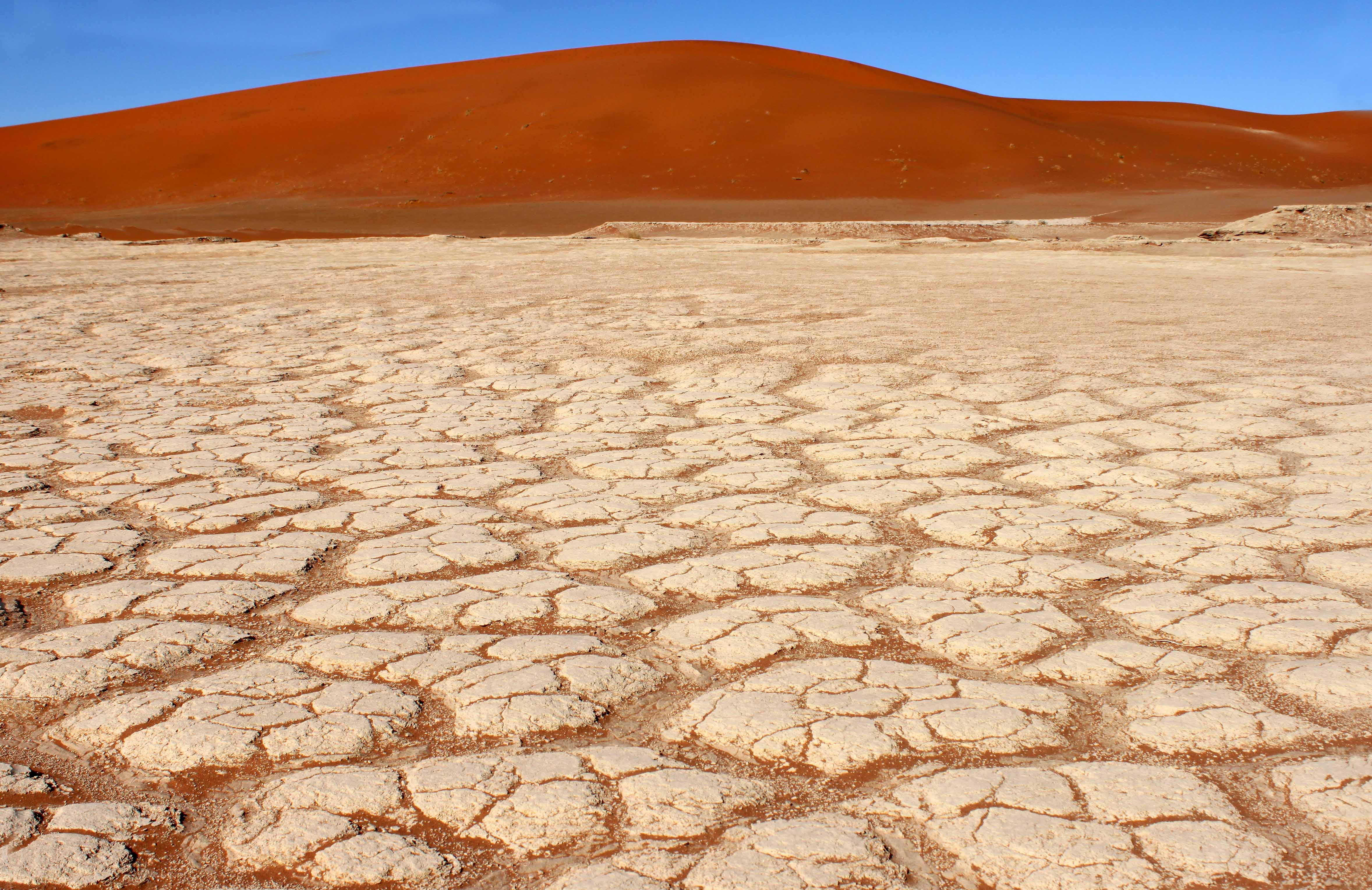 Особенности почв полупустынь. Солончак такыр. Такыровые глинистые пустыни. Полупустыни и пустыни почвы. Полупустыни и пустыни Африки почвы.