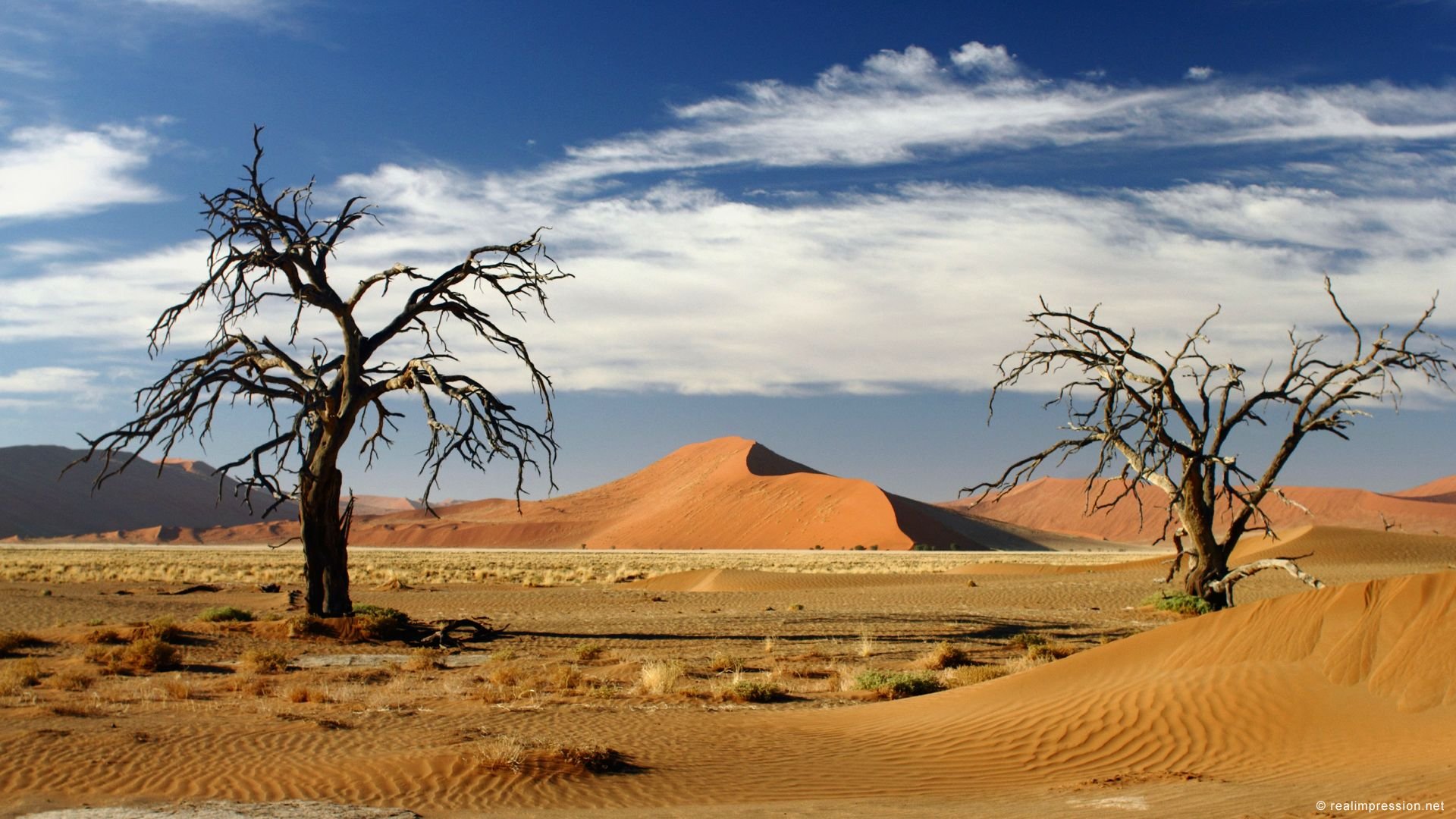 Самая сухая пустыня в африке