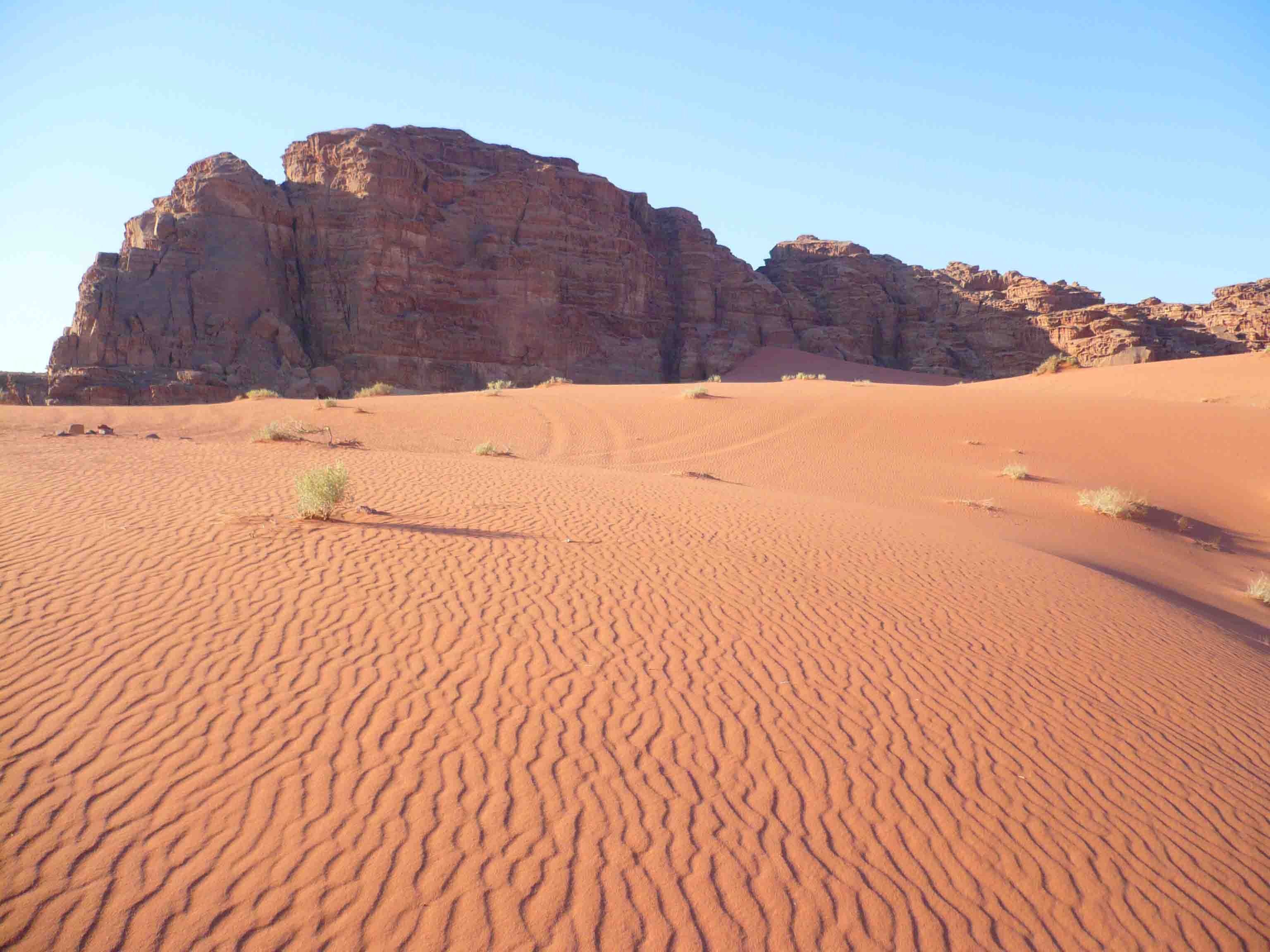 Саудовская аравия песок. Пустыни Аравийского полуострова. Пустыня малый Нефуд. Саудовская Аравия малый Нефуд. Мидл Ист пустыня.