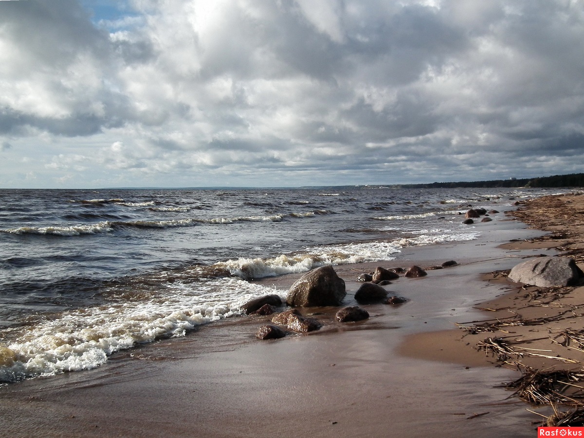 Пляж в Комарово на финском заливе