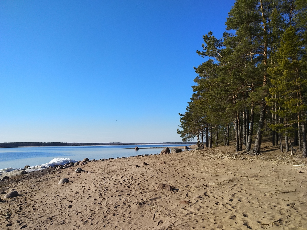 Пляж в Комарово на финском заливе