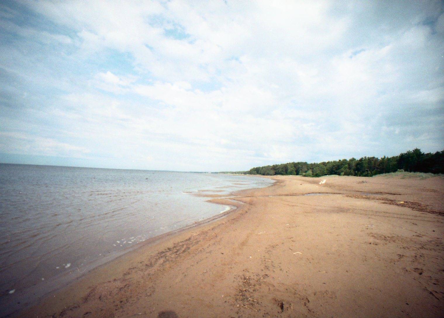 Пляжи Комарово Ленинградская