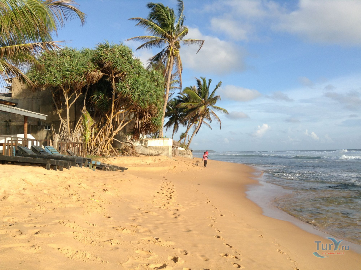 Пляж хиккадува шри. Пляж Хиккадува Шри Ланка. Хиккадува Черепаший пляж. DORMERO Хиккадува. Хиккадува центр.