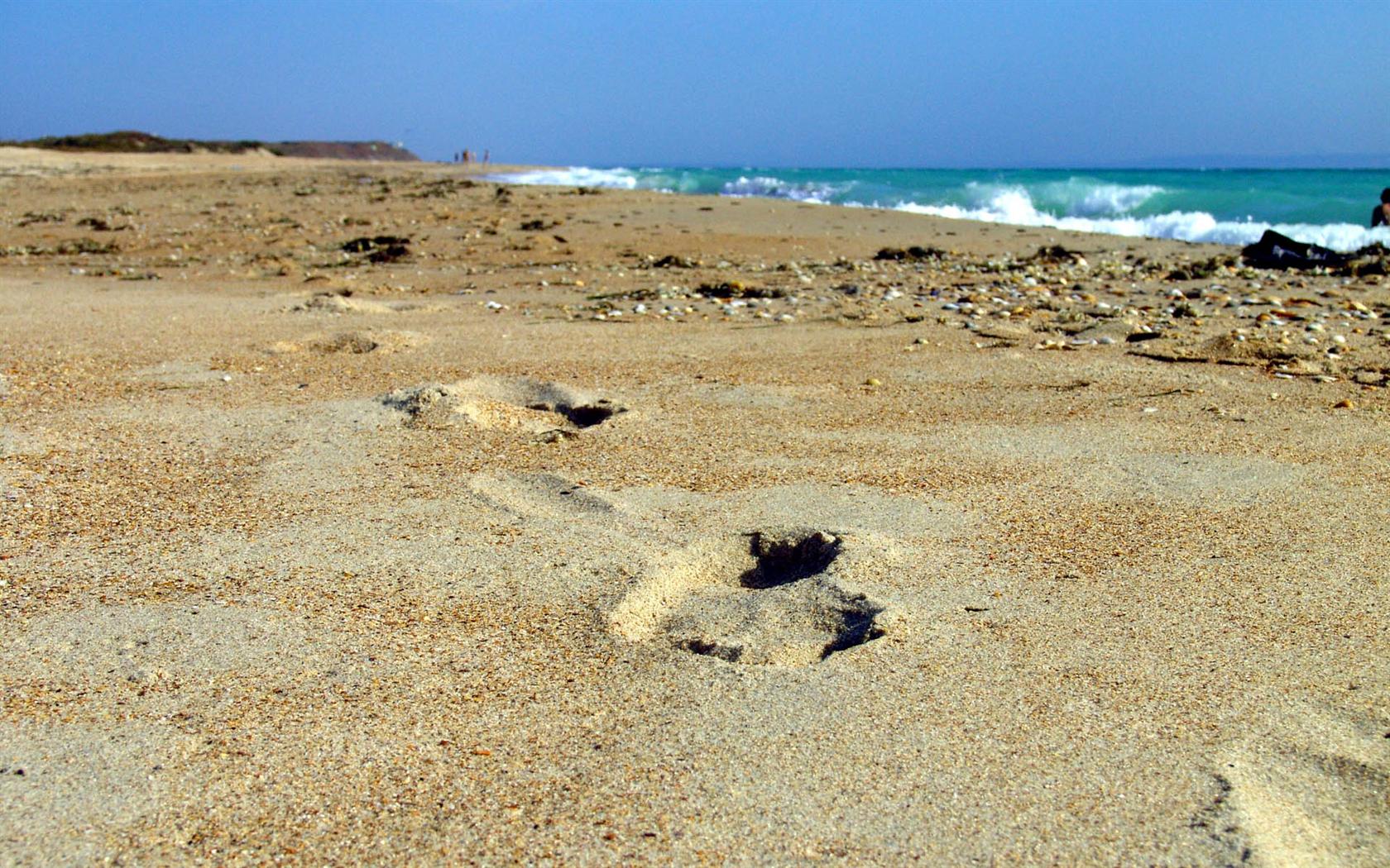 Песчаный пляж на черном море