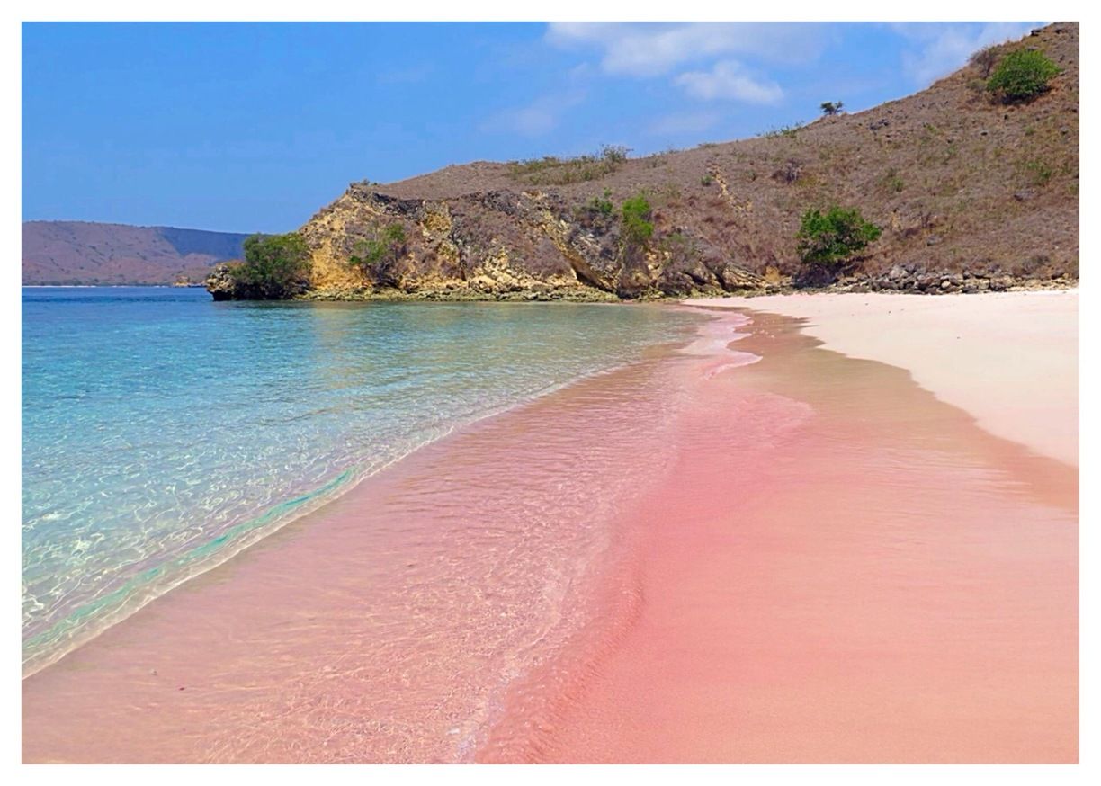 Остров Комодо розовый пляж