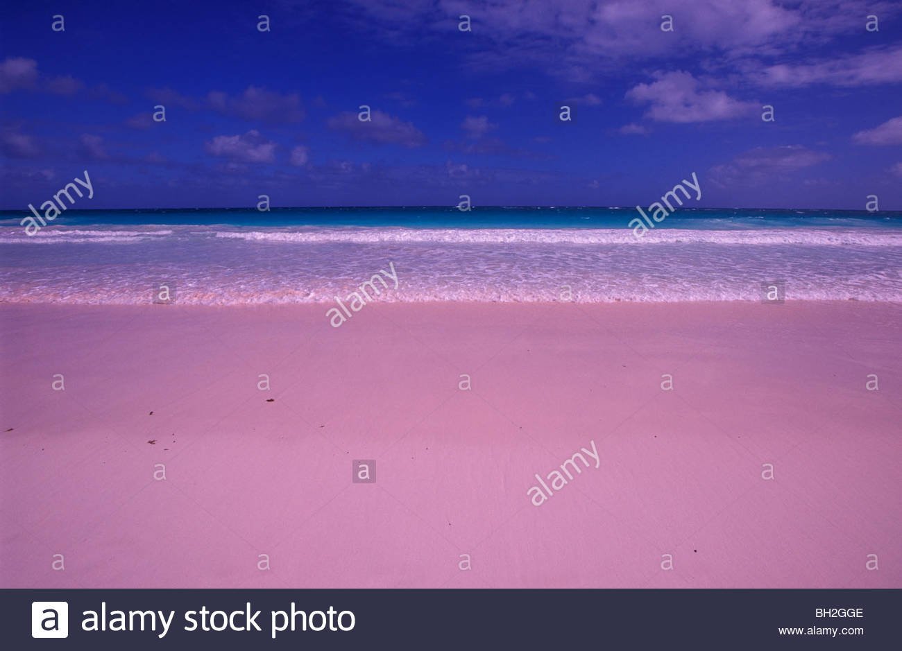багамы розовый