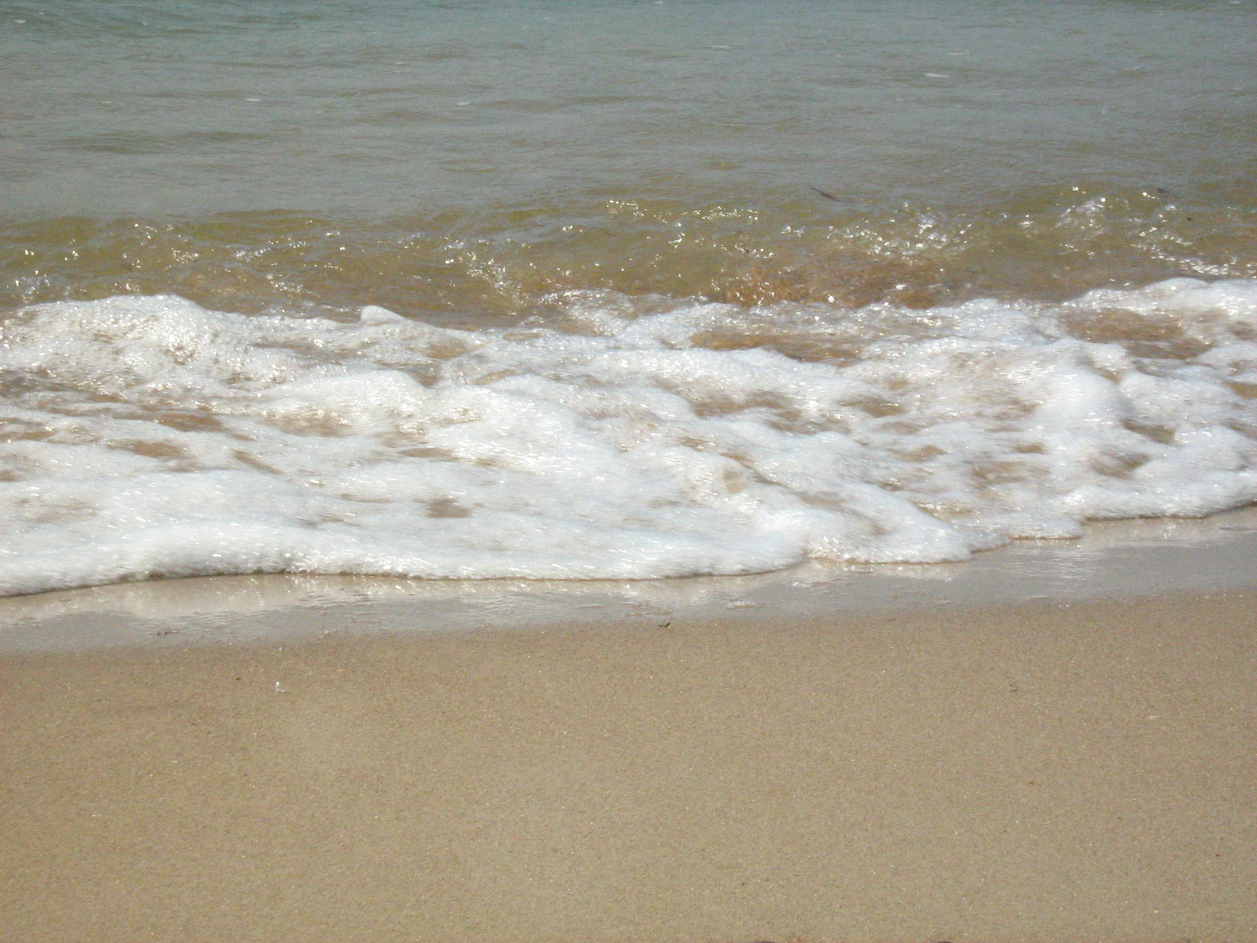 песчаный пляж в адлере