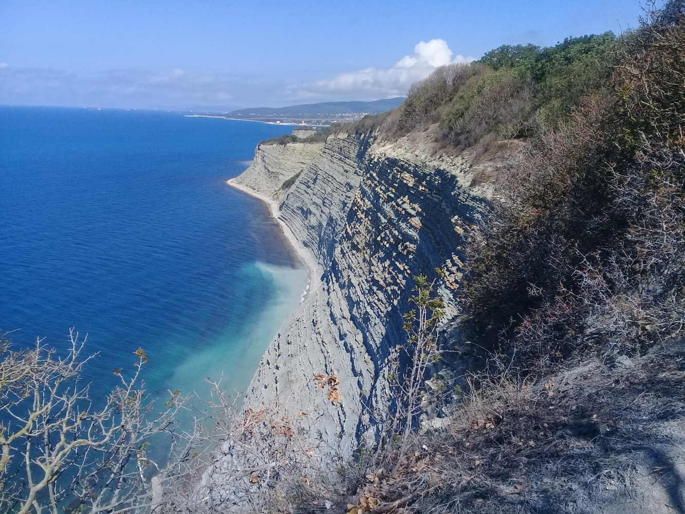 Бетта на черном море Краснодарский край