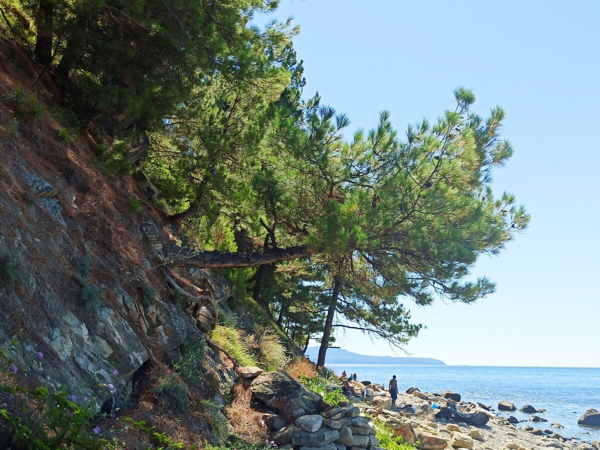 Ольгинка скалы на пляже