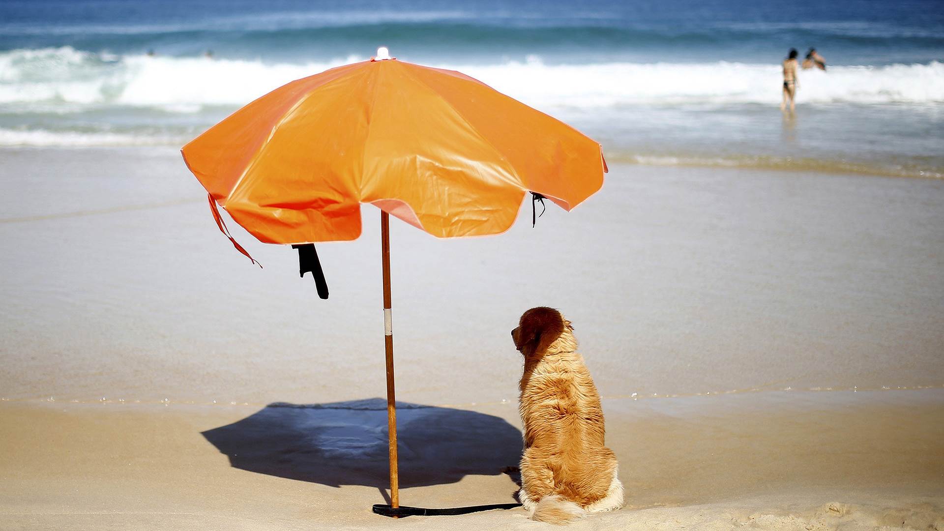 Зонт для пляжа