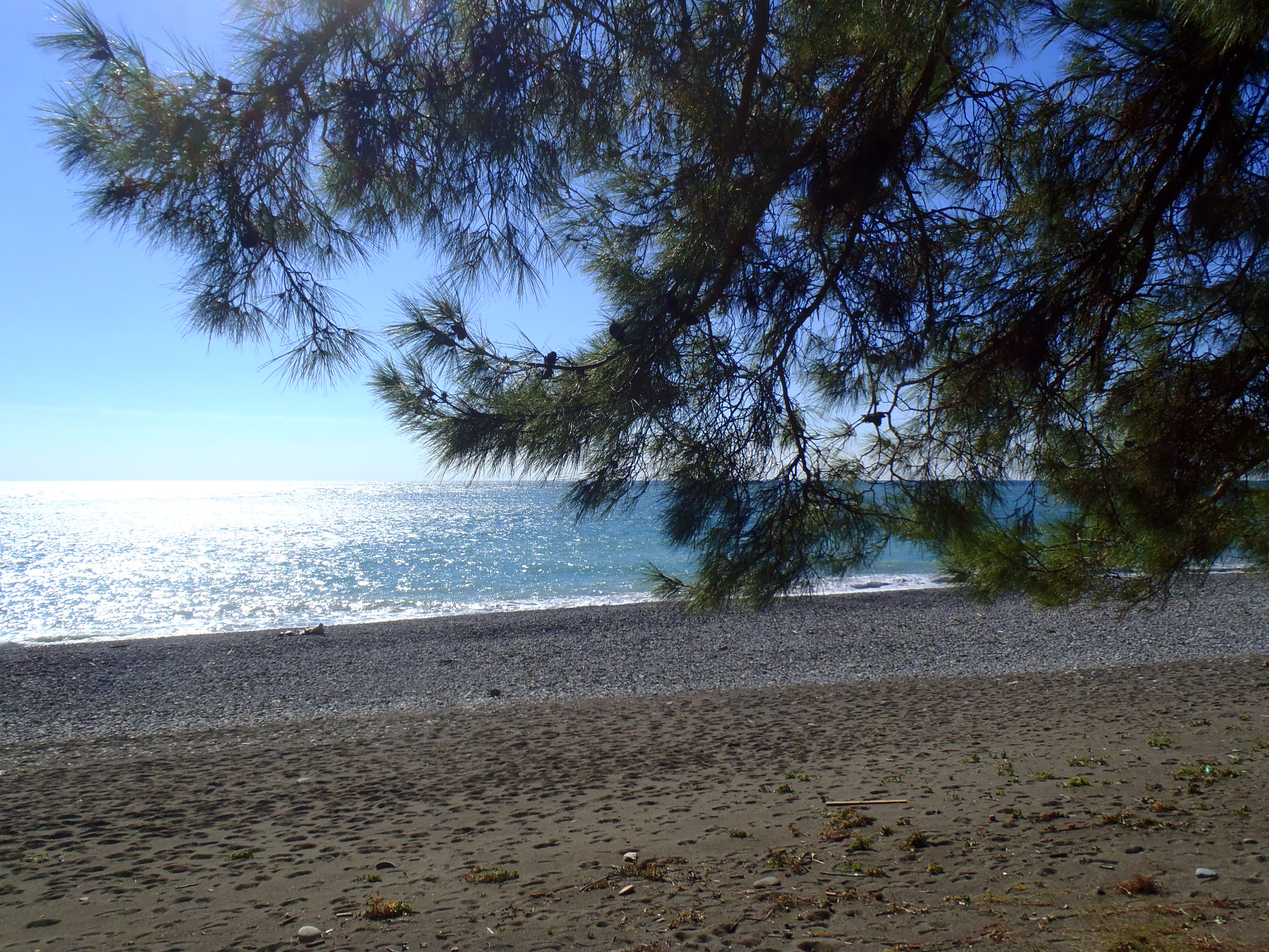 абхазия пляж песок