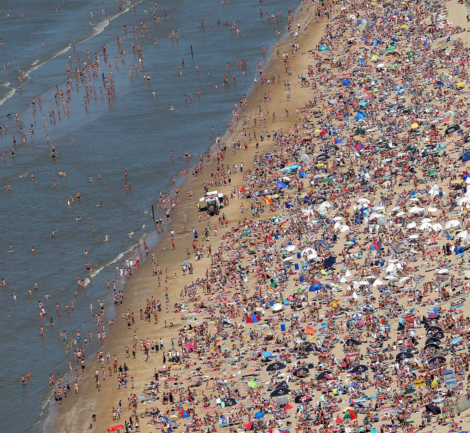 полный пляж людей