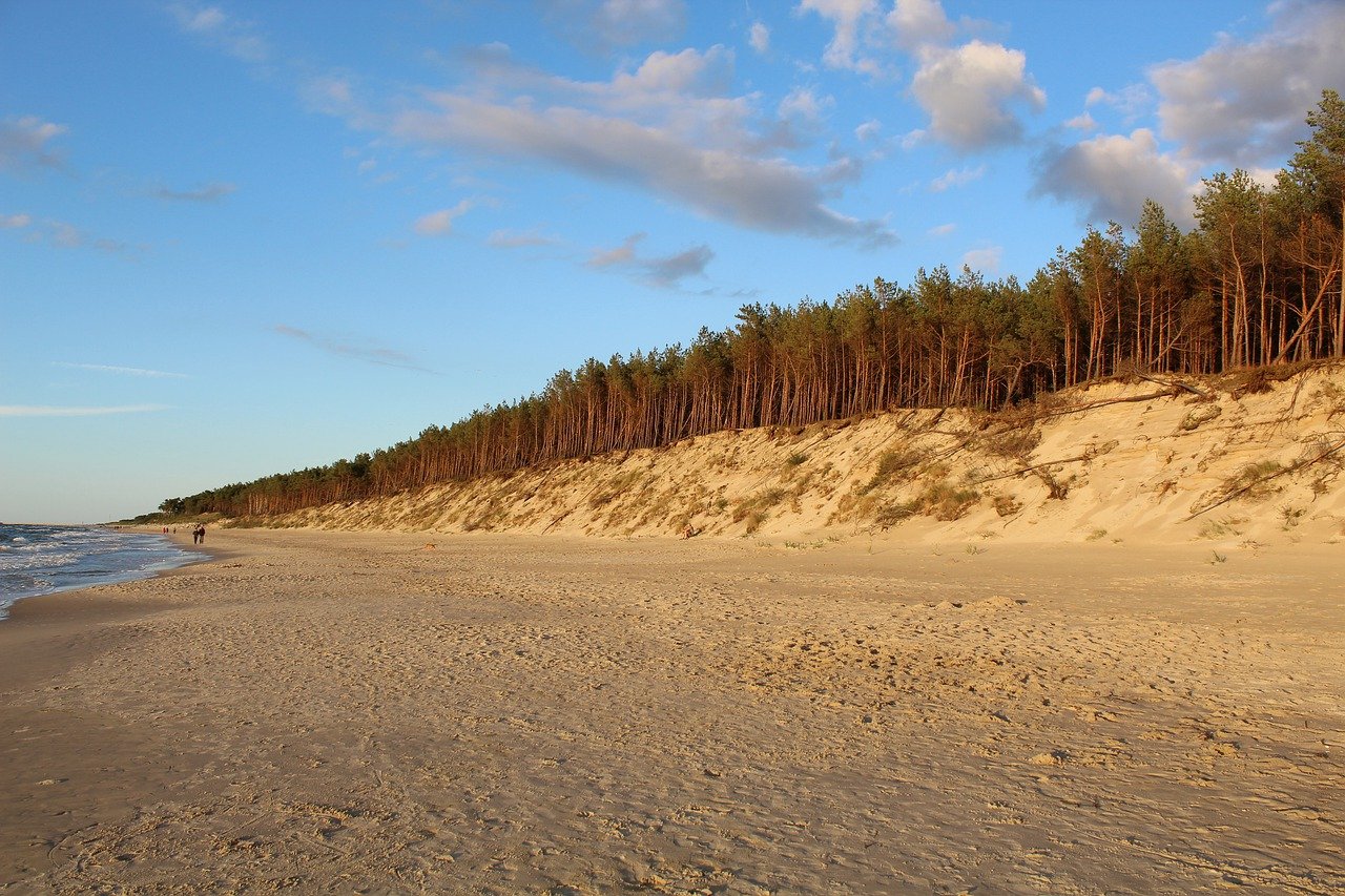 Песчаные дюны Сестрорецк