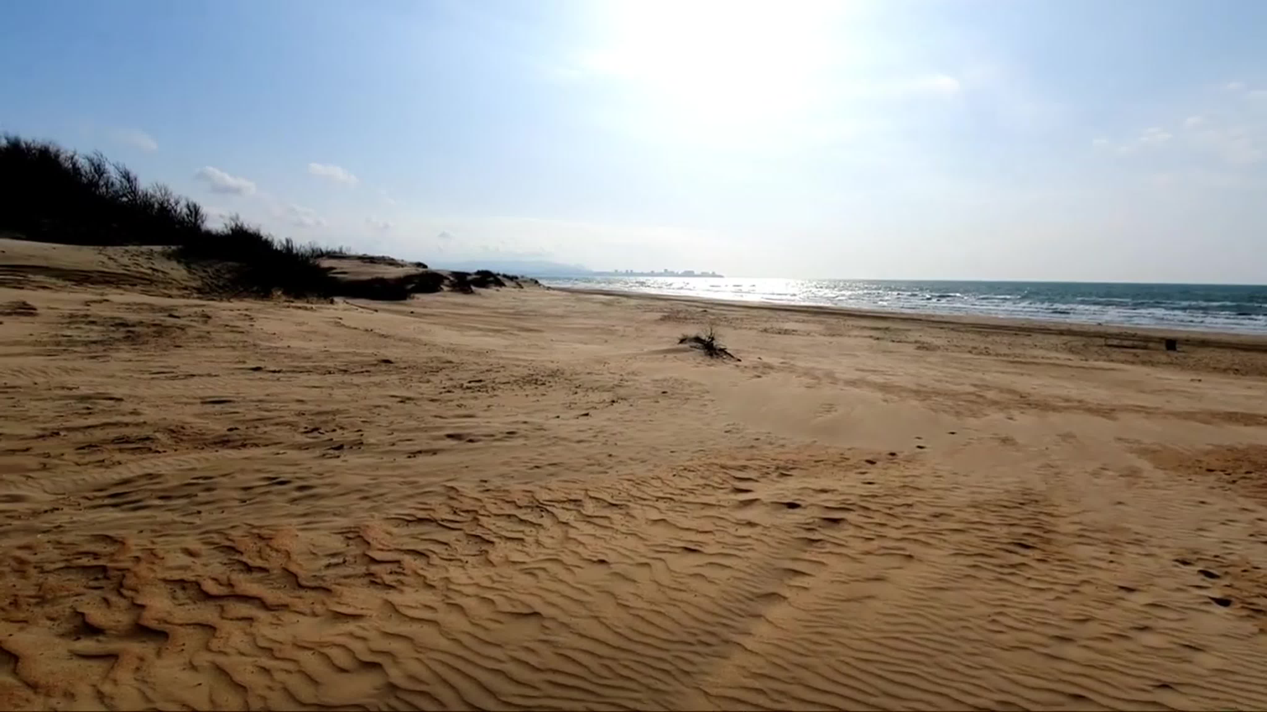 Дорога в дюнах 5. Пляж дюны в Сестрорецке. Патара пляж дюны. Пляж дюны в Сестрорецке девушки. Дюны пляж камеры.