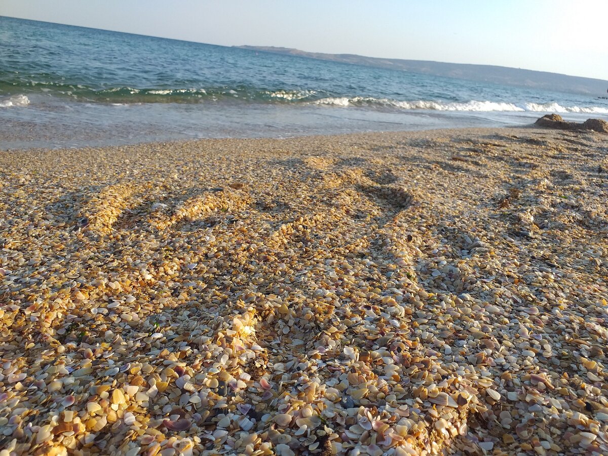 Фото феодосия золотой пляж фото