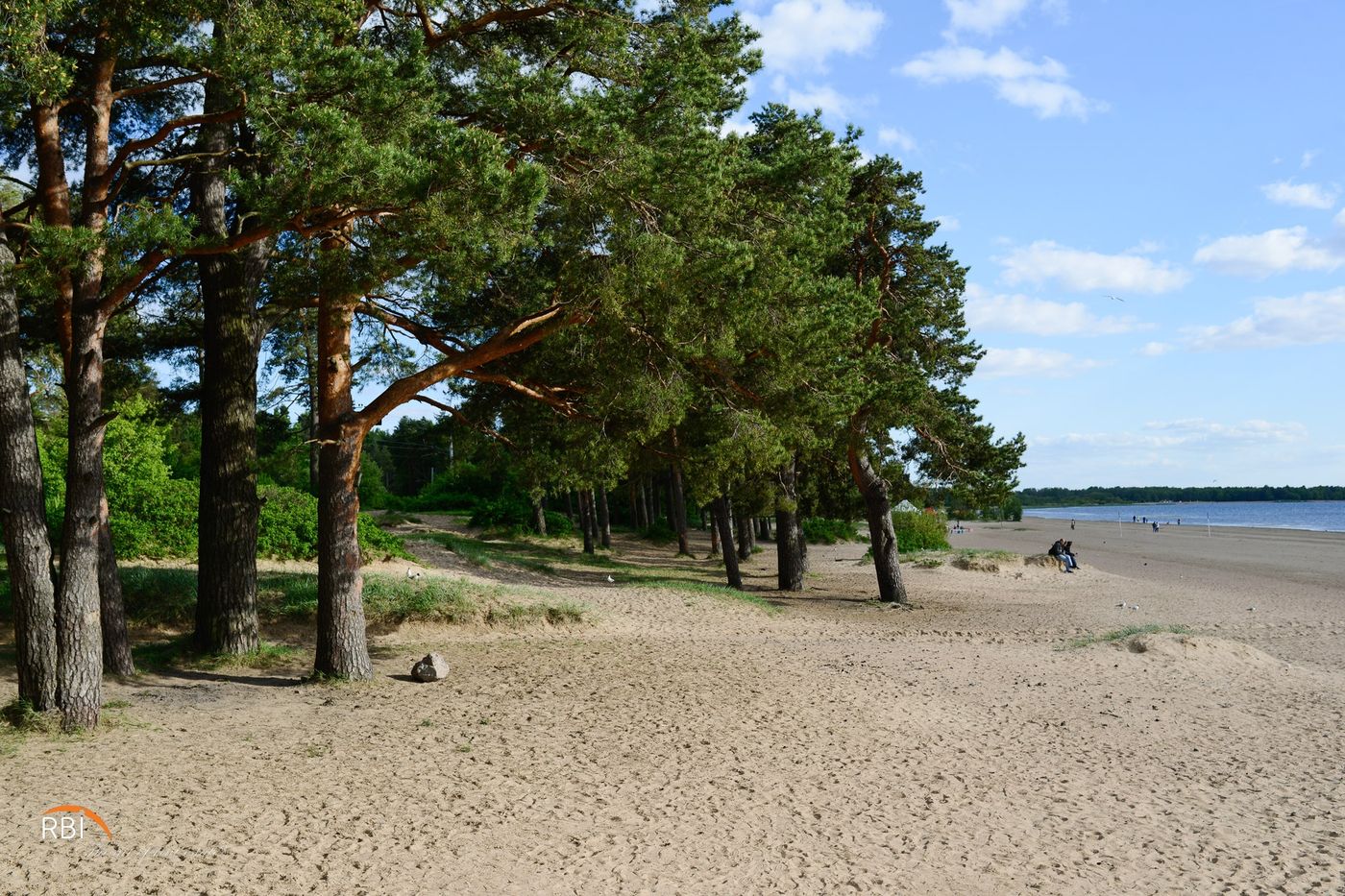 Пляж в Сестрорецке на финском заливе