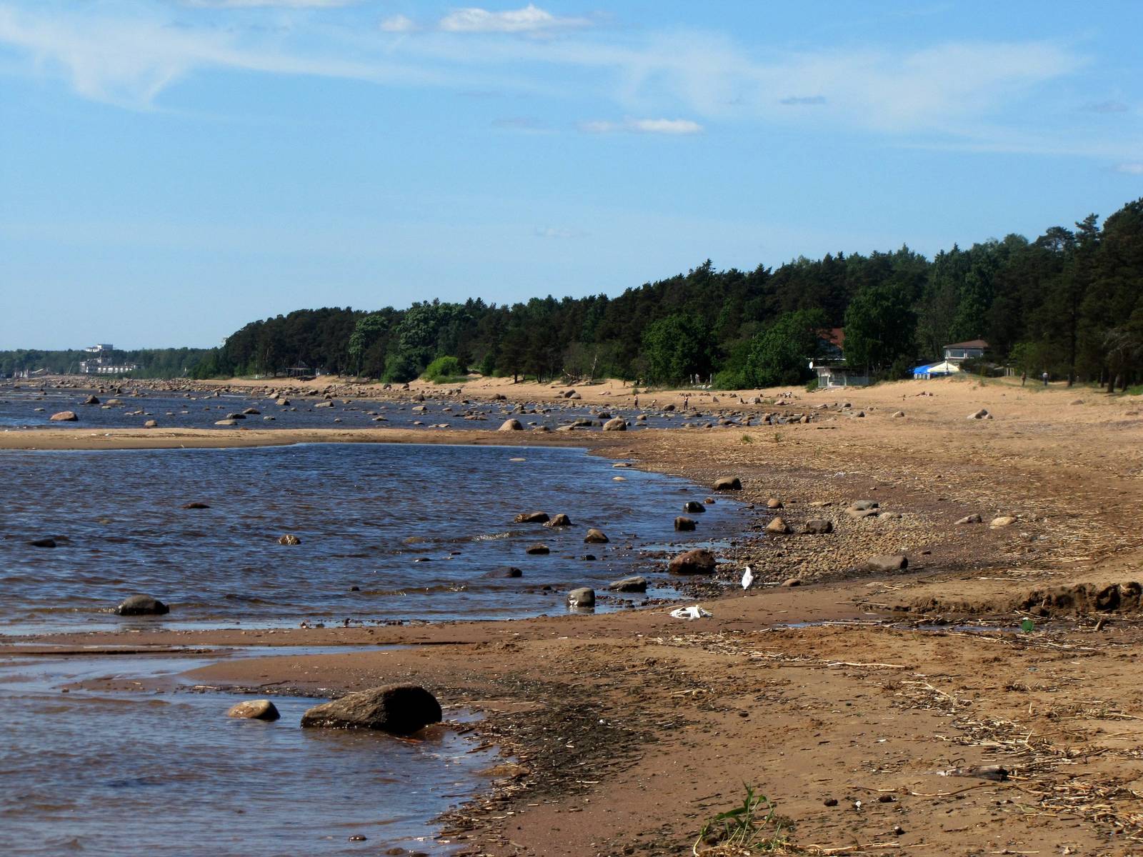 Финский залив Комаровский пляж