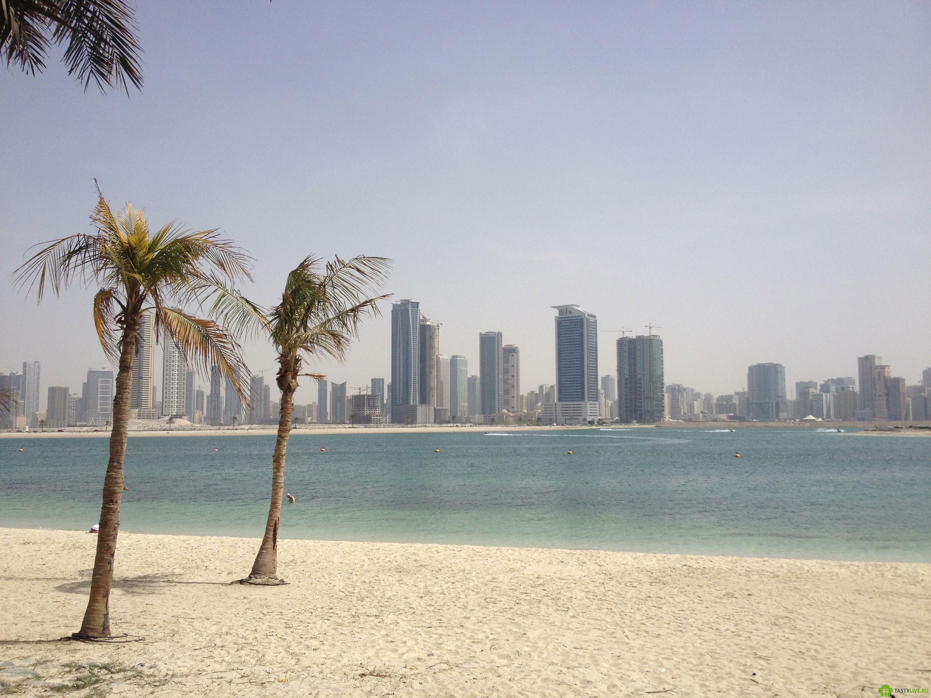 Парк аль мамзар. Парк Аль Мамзар Дубай. Пляж Аль Мамзар в Дубае. Аль Мамзар пляж Шарджа. Al Mamzar Beach Park пляж.