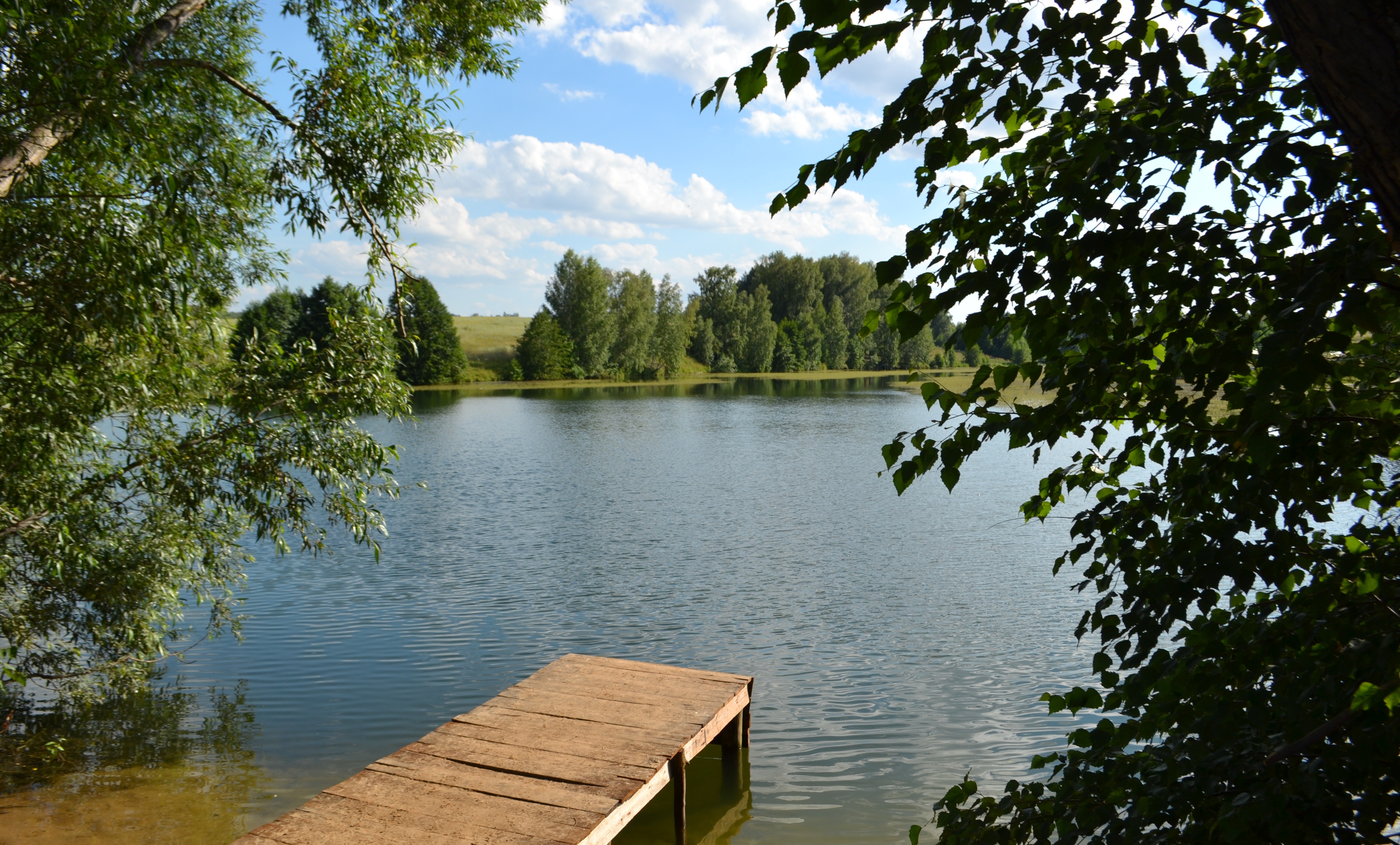 Вода курганинск. Лесное озеро Биробиджан. Лесное озеро Курганинск. Лесное озеро Томск. Плявиняс Лесное озеро.