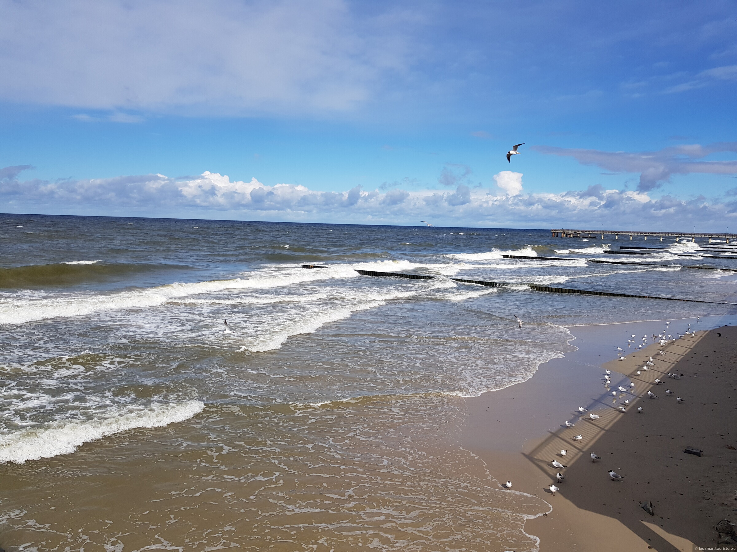 Море в зеленоградске сейчас. Балтийское море Зеленоградск. Зеленоградск море Куршская коса променад. Балтийское море пляж Зеленоградск. Балтийское море Зеленоградск променад.