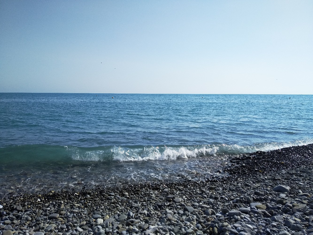 Лазаревское пляж дельфин фото и местоположение