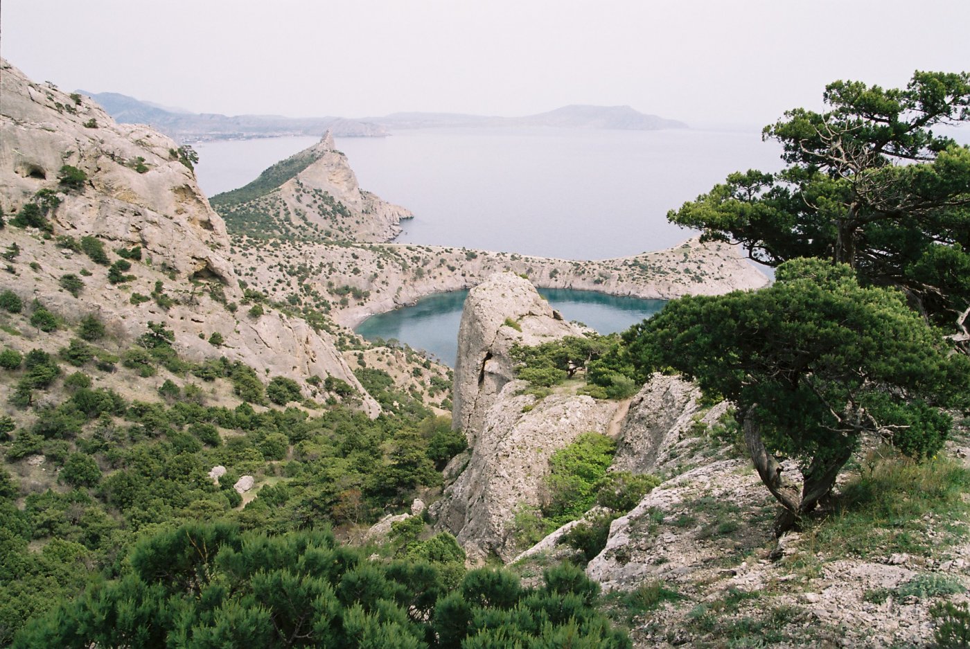 Пляжи Крыма с деревьями