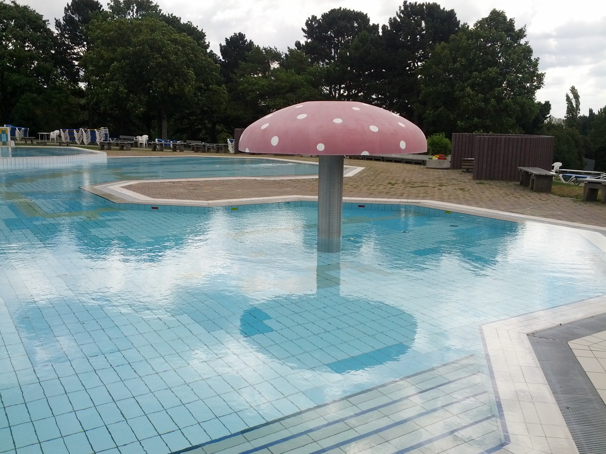 бассейн в майкопе в парке