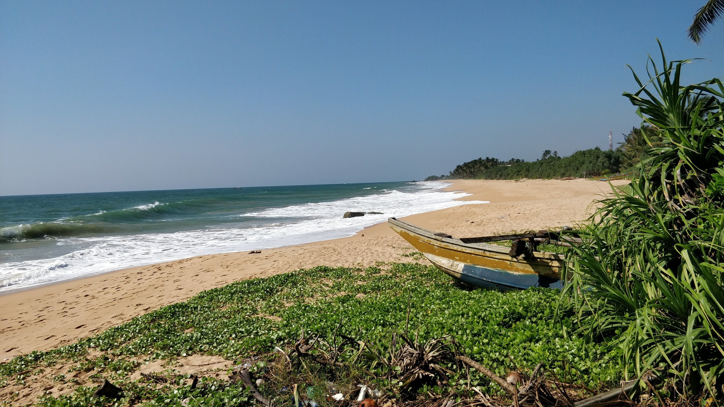 Погода бентота шри. Пляж Бентота Шри Ланка. Пляж Индурува. Индурува Шри Ланка. Бентота пляж Морагалла.