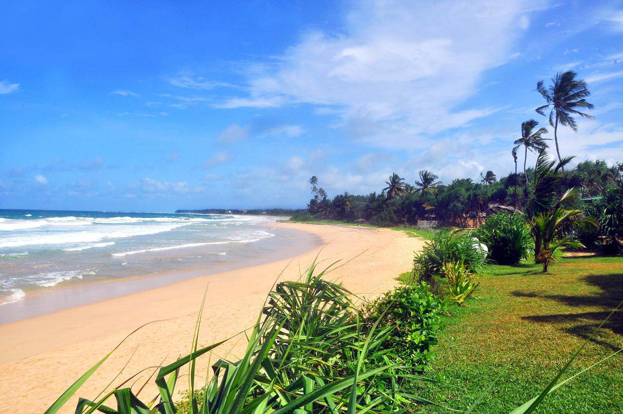 Погода бентота шри ланка. Коггала Бич Шри Ланка. Пляж Коггала Шри Ланка. Пляж Ваддува Шри Ланка. Пляж Хабарадува Шри Ланка.