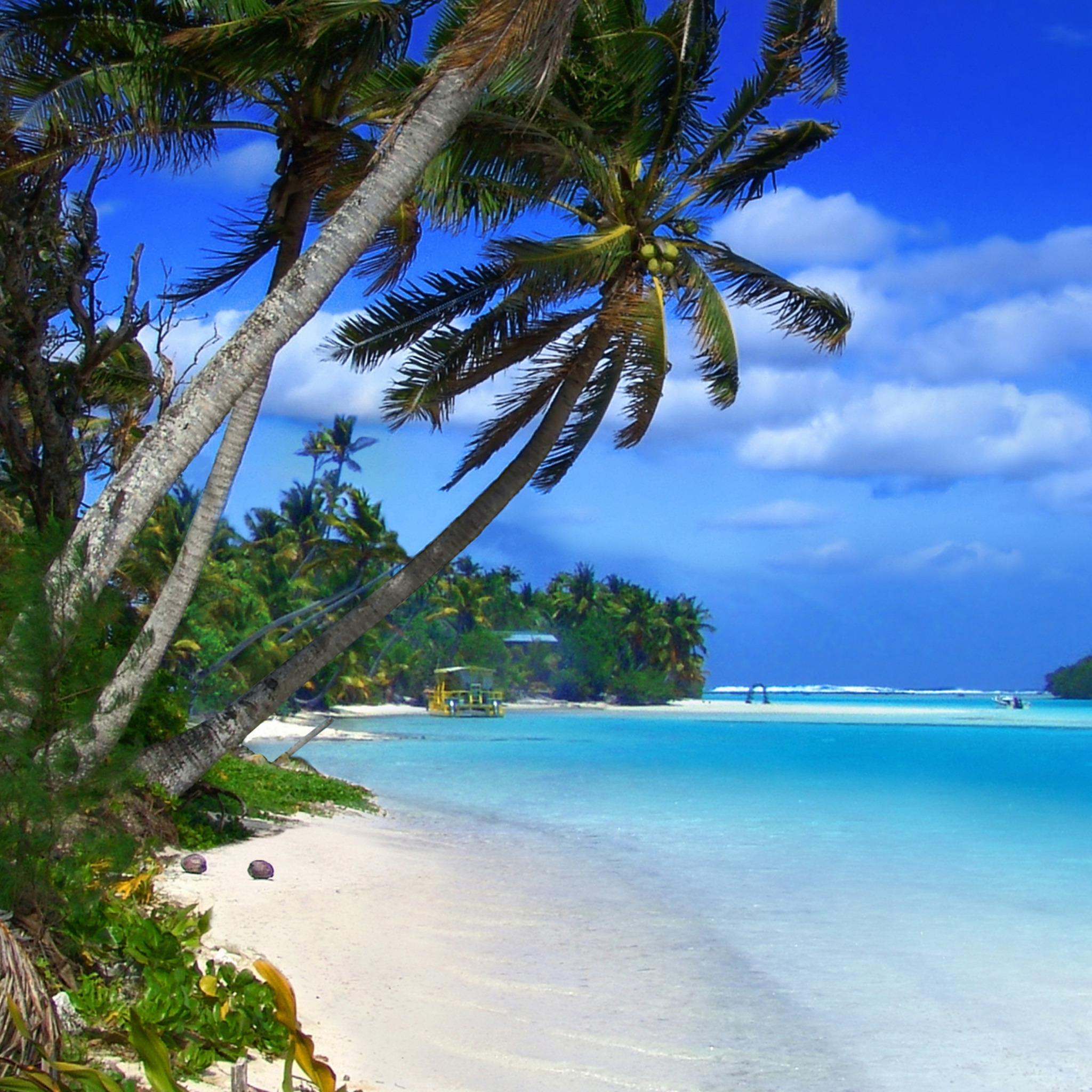 карибские острова фото море пляж