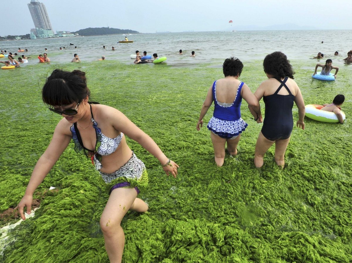 Зеленый купаться. Пляж в Китае. Китайцы на море. Море в Китае. Китайцы на пляже.