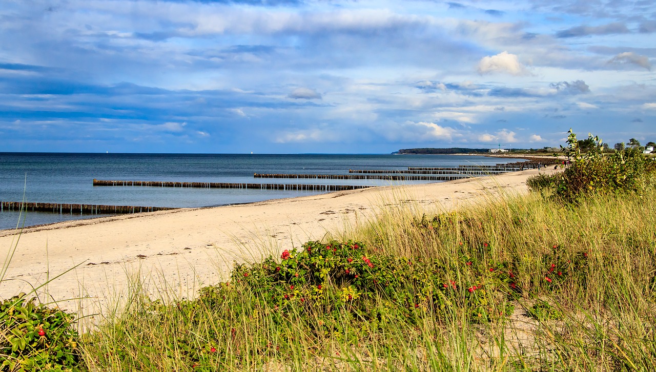 Балтика пляж картинка