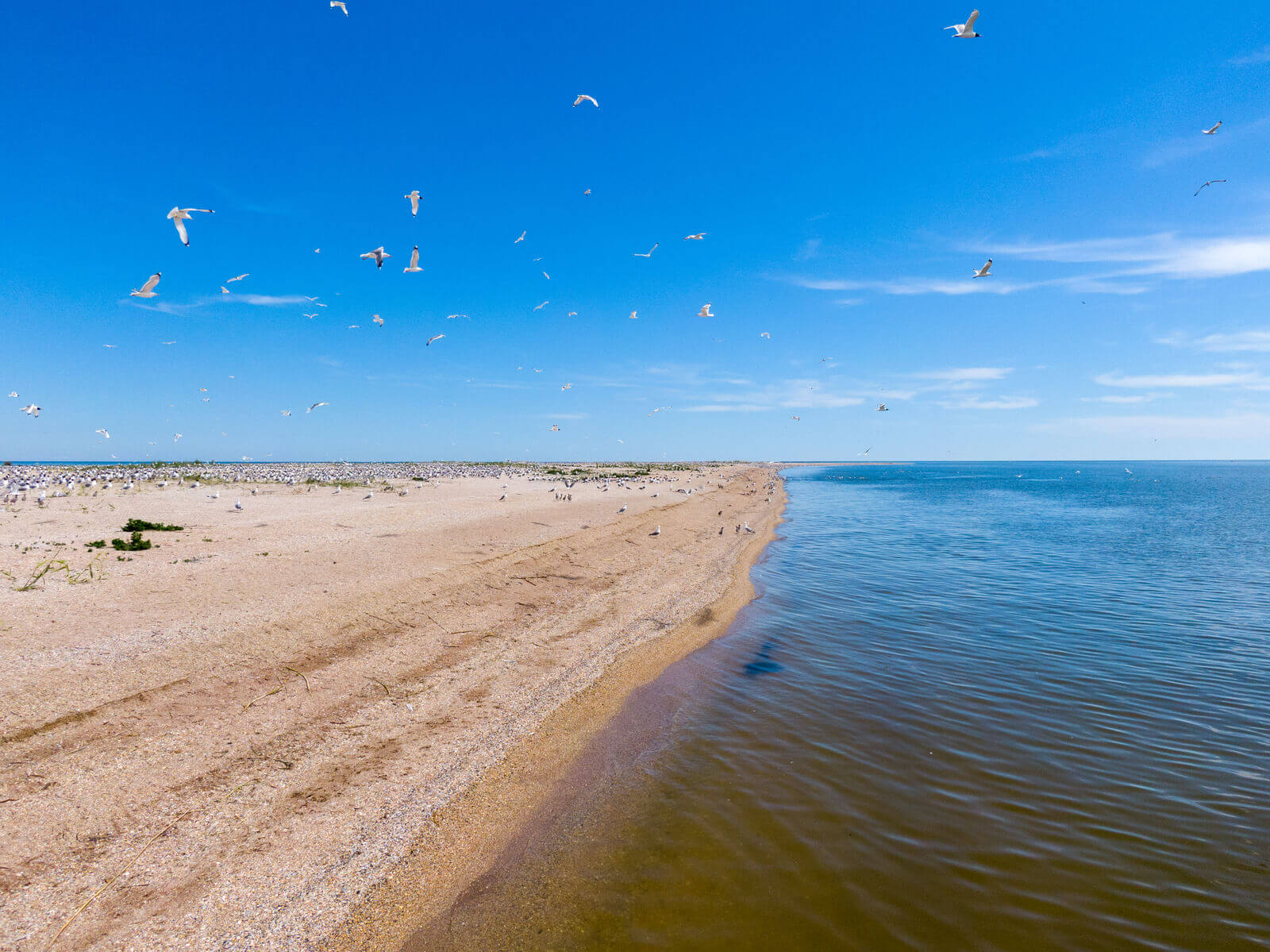 Астрахань море фото