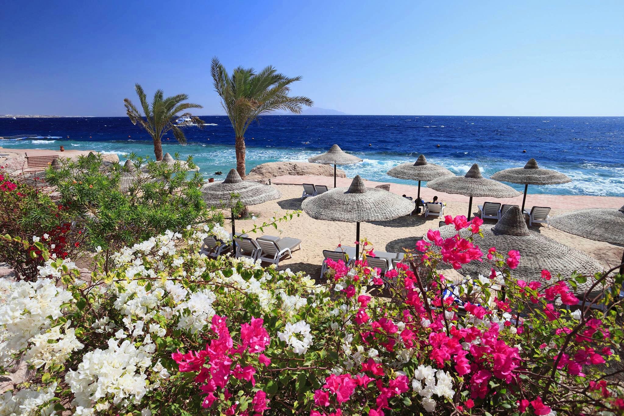 египет фото пляжей и отелей