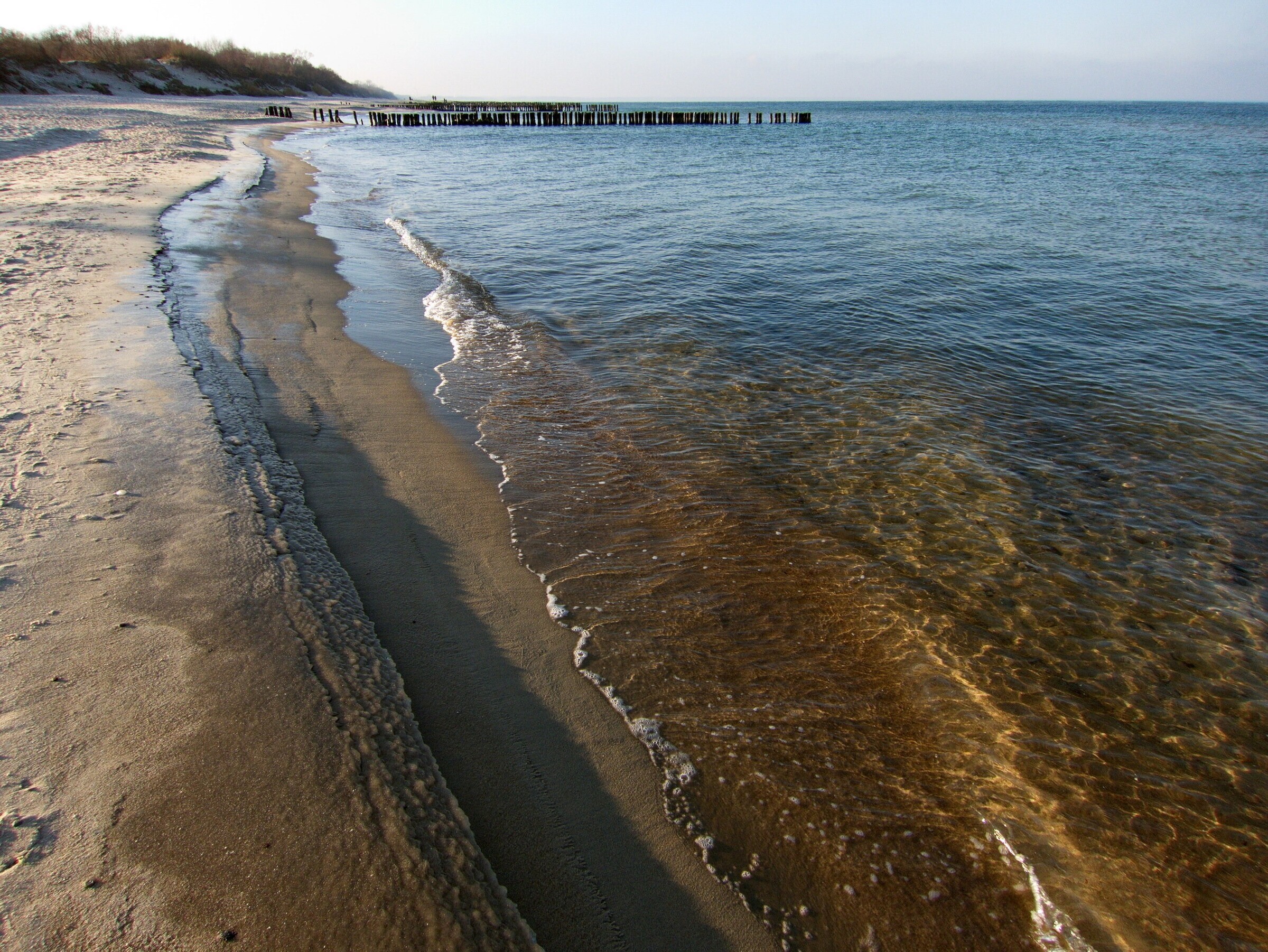 Западный пляж зеленоградск. Балтийское море Зеленоградск. Балтийское море пляж Зеленоградск. Берег Балтийского моря Зеленоградск.
