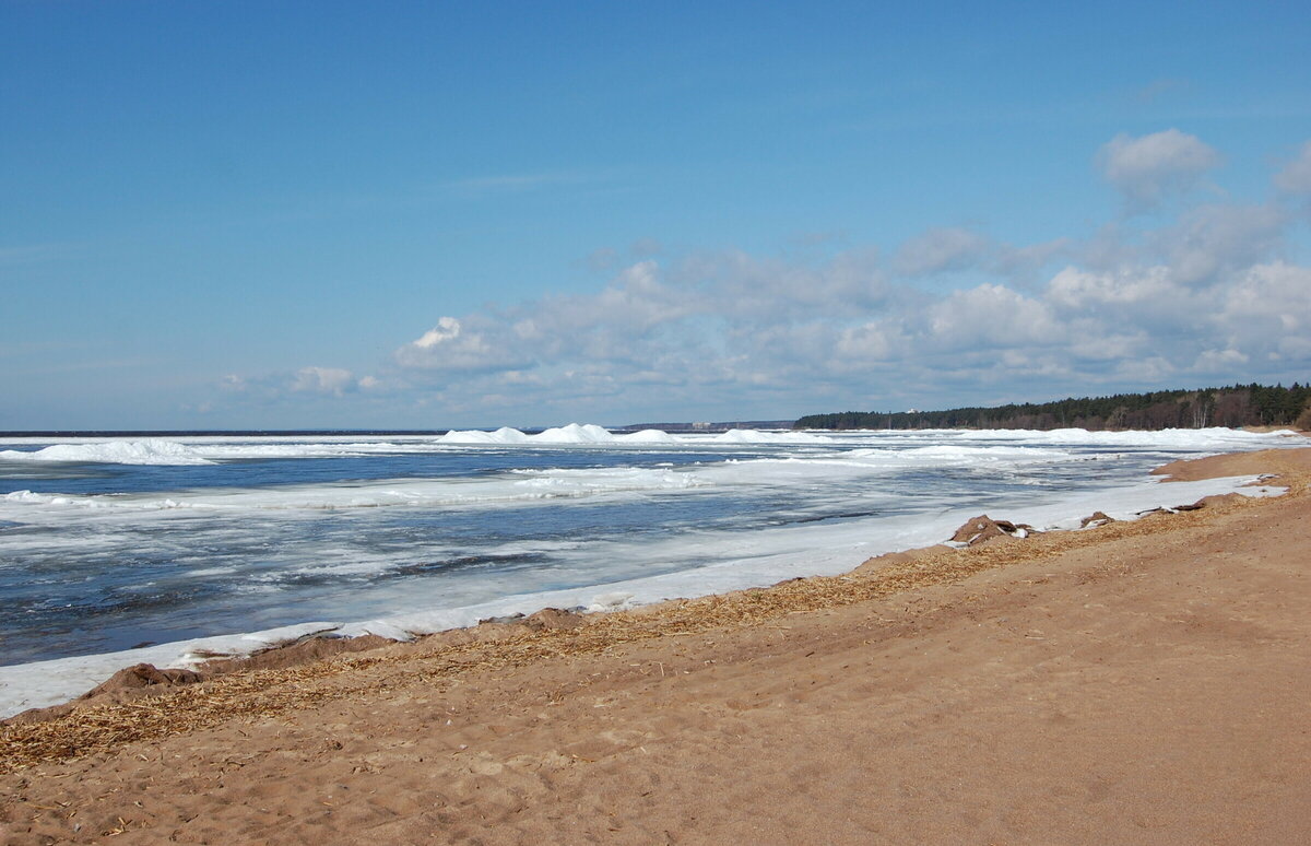 Пляж ласковый в солнечном фото