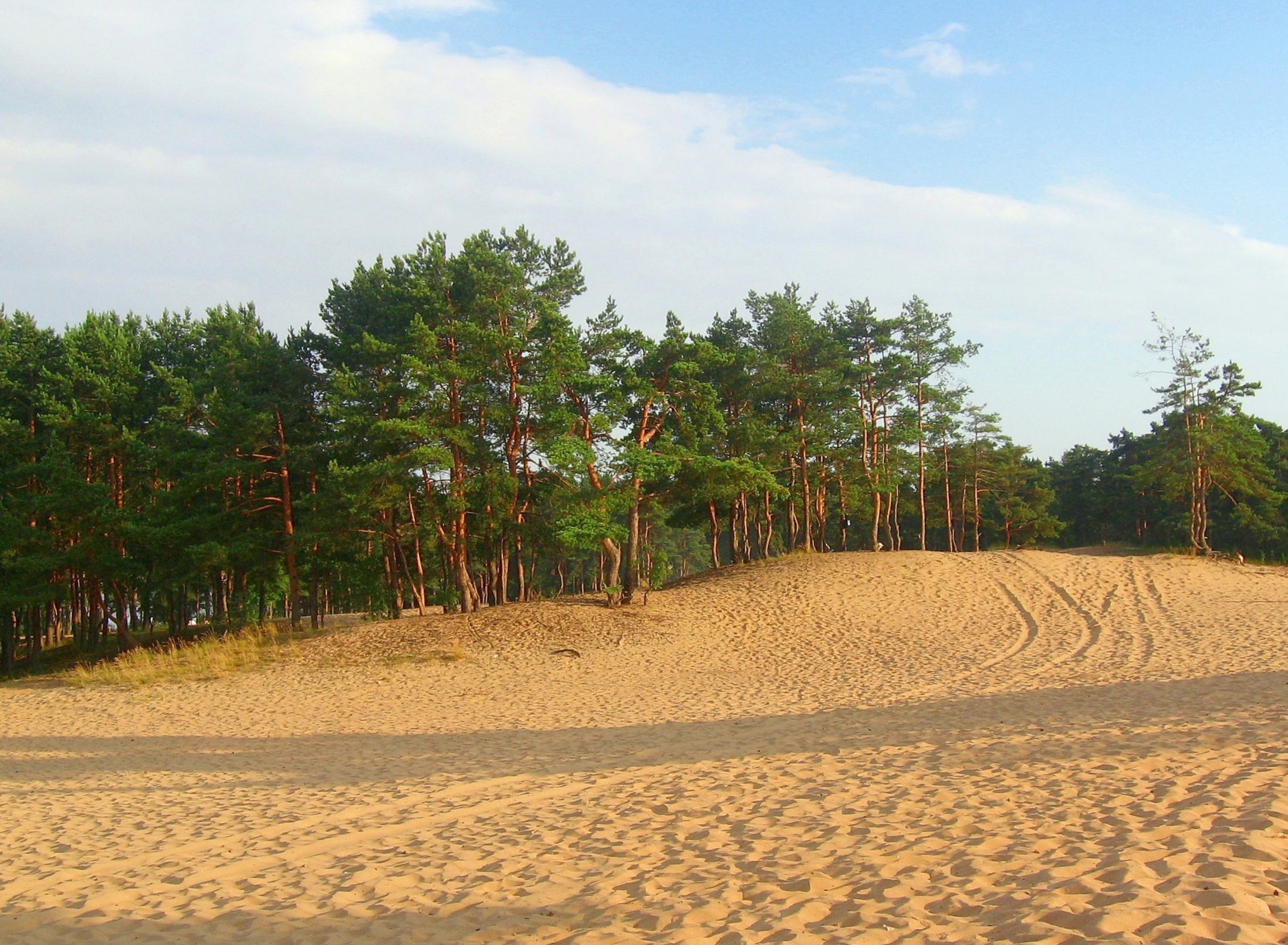 Дюны Спицино песчаные
