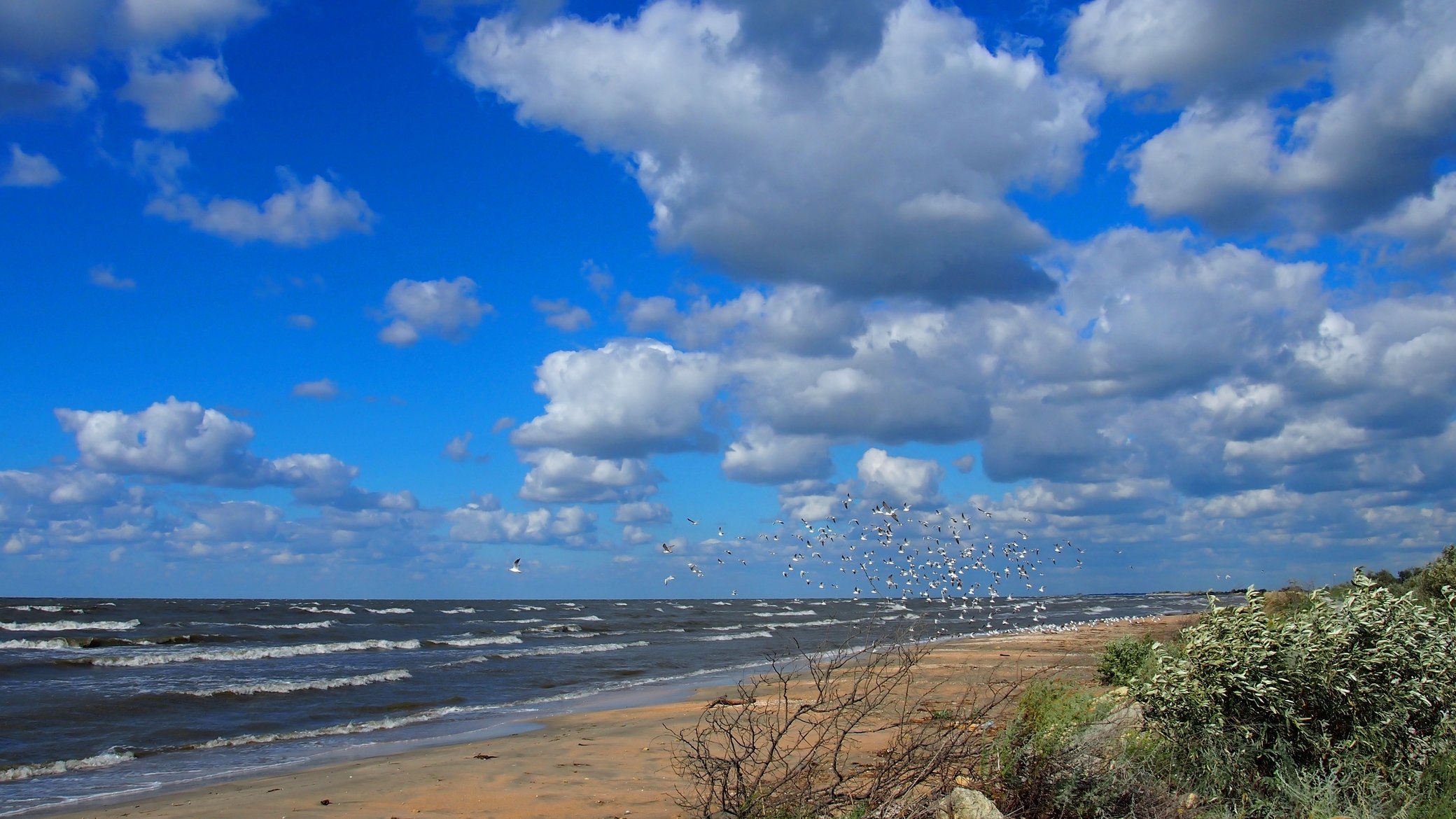 Пляж голубицкая азовское