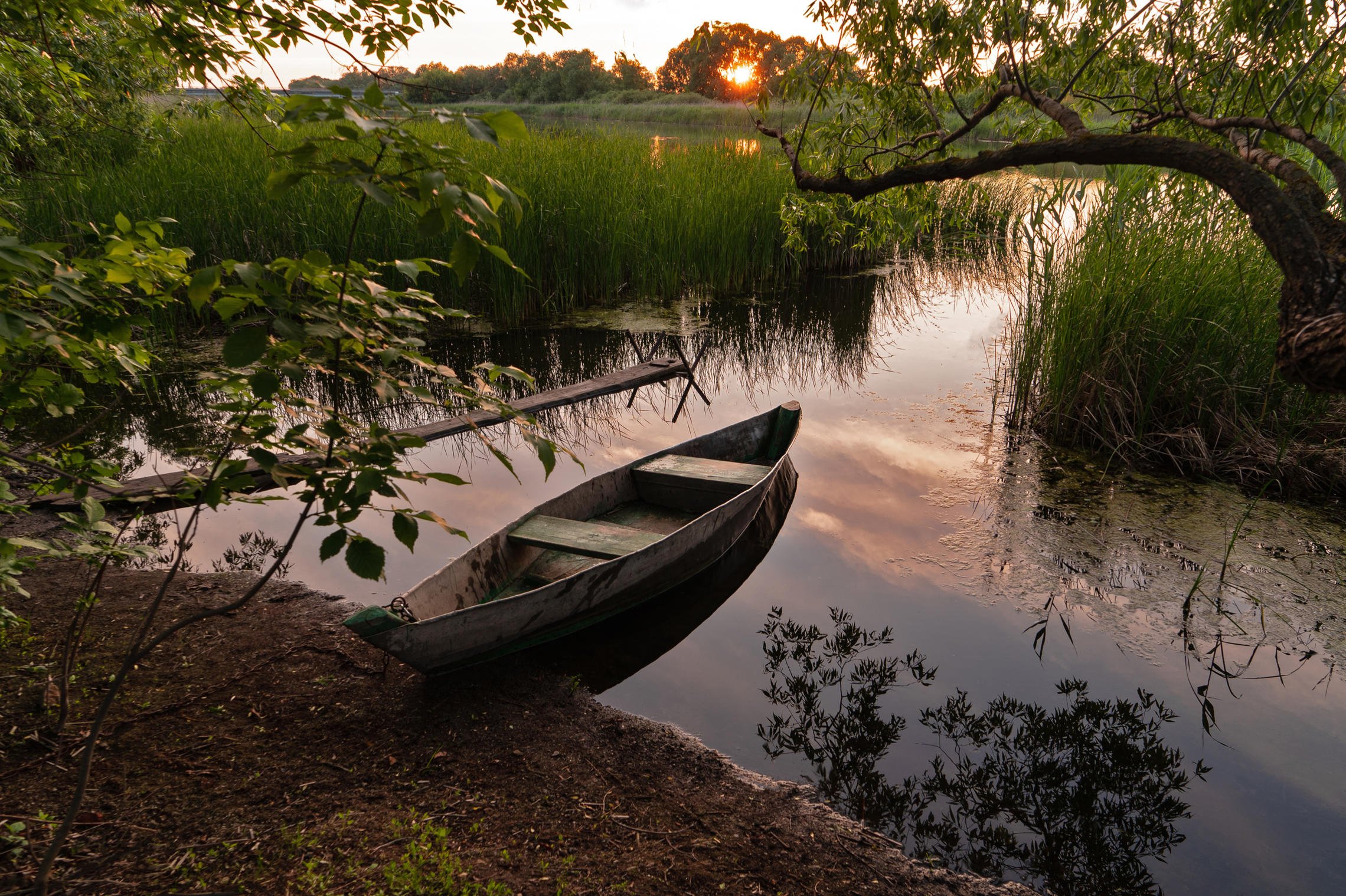 Хорошо гулять по берегу лесного озера. Лодка на реке. Лодка на пруду. Речной пейзаж. Лето река лодка.