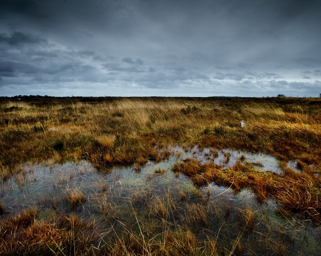 Болота запасы торфа. Торфяники Ирландии. Торфяные болота Исландии. Торф и торфяные болота. Торфяные болота Топь.