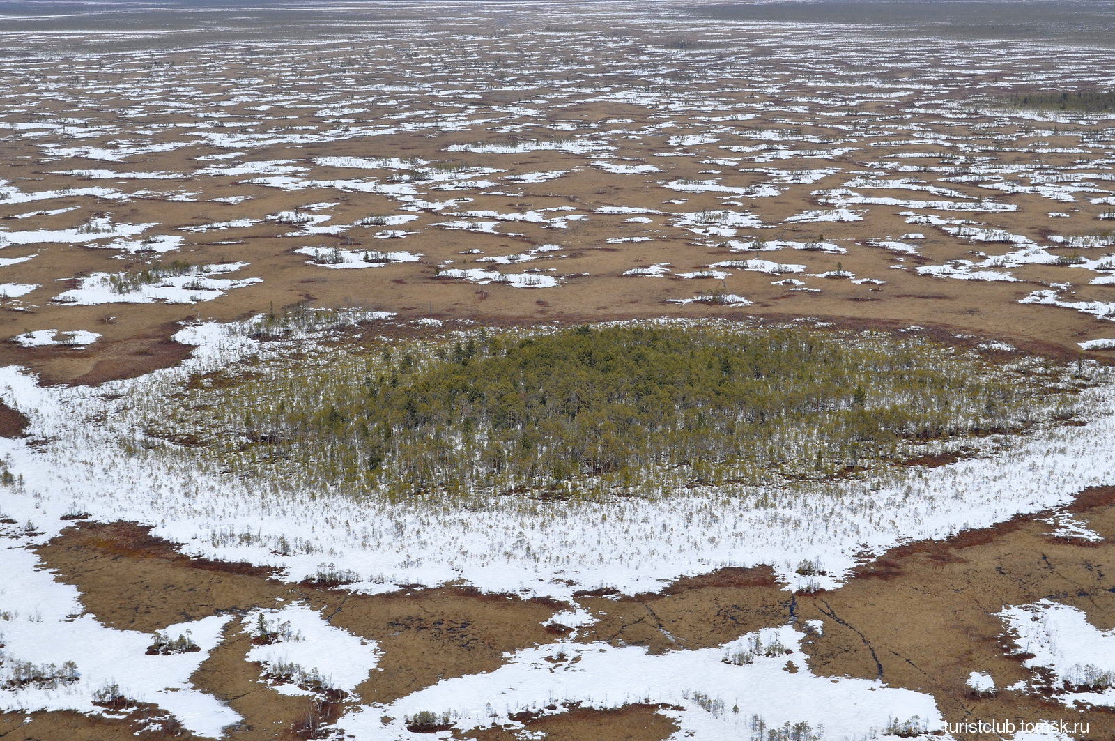 Васюганские болота в Новосибирской области