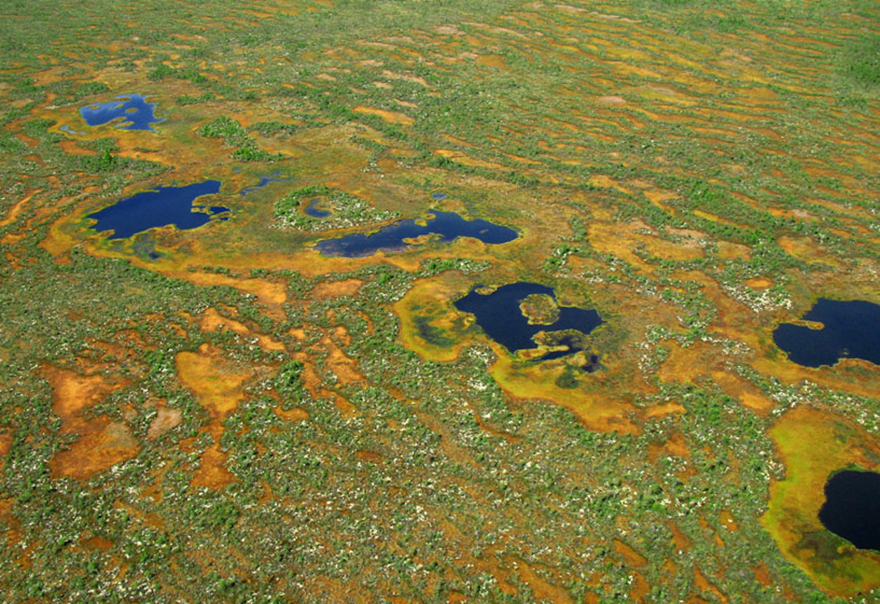 Крупнейшее болото европы. Васюганские болота. Васюганские болота, Западная Сибирь. Болота Западно сибирской равнины. Васюганские болота площадь.