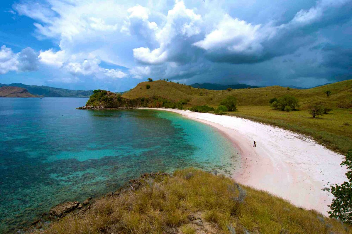Остров комодо индонезия
