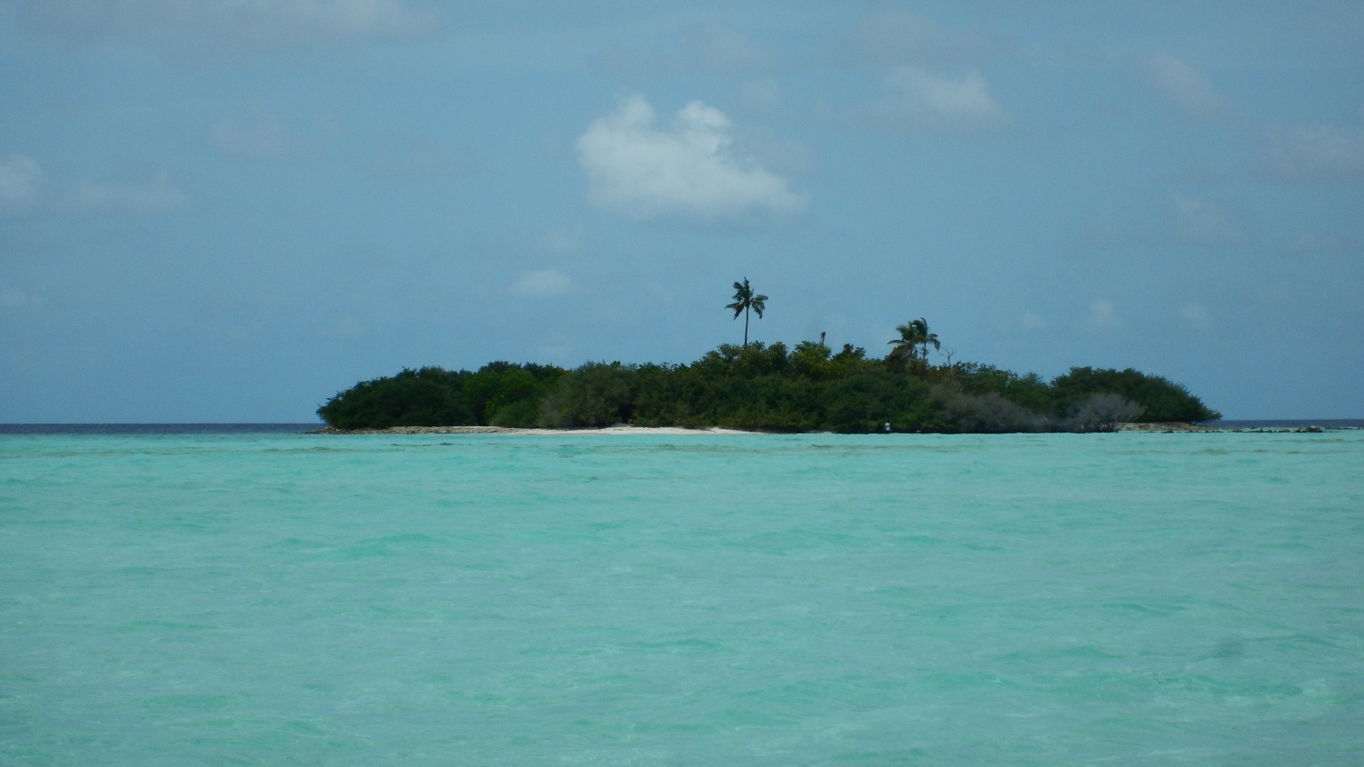 Остров Toddy Мальдивы