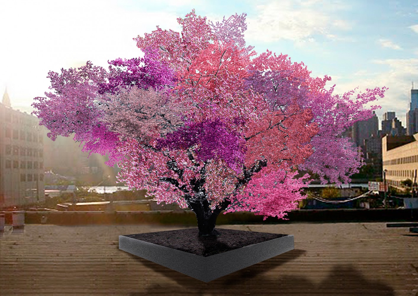 Красивое цветущее дерево