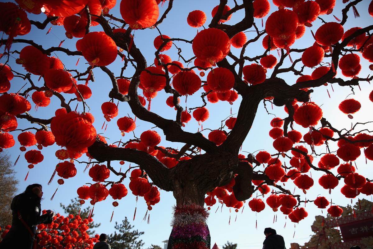 Новогоднее дерево в Китае