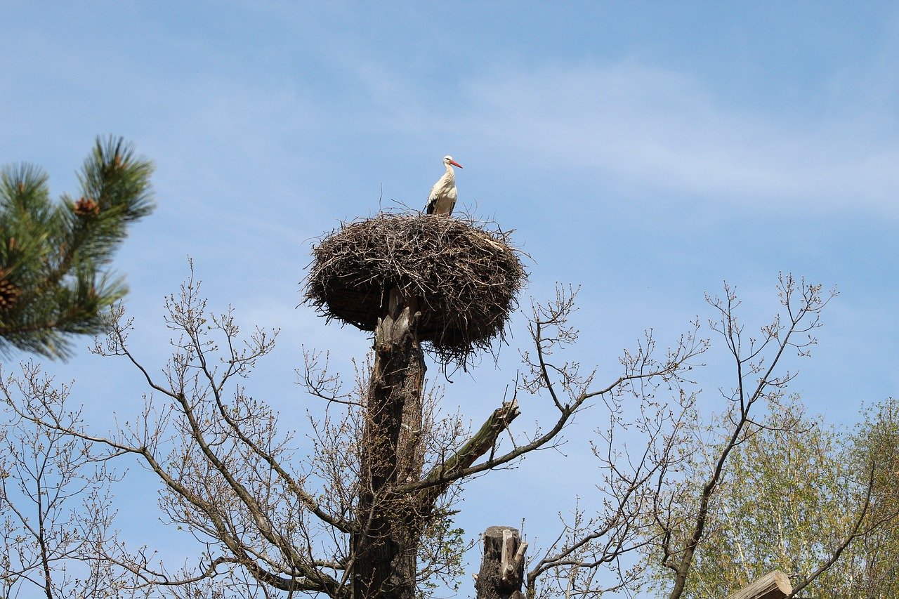 Декоративное гнездо аиста фото