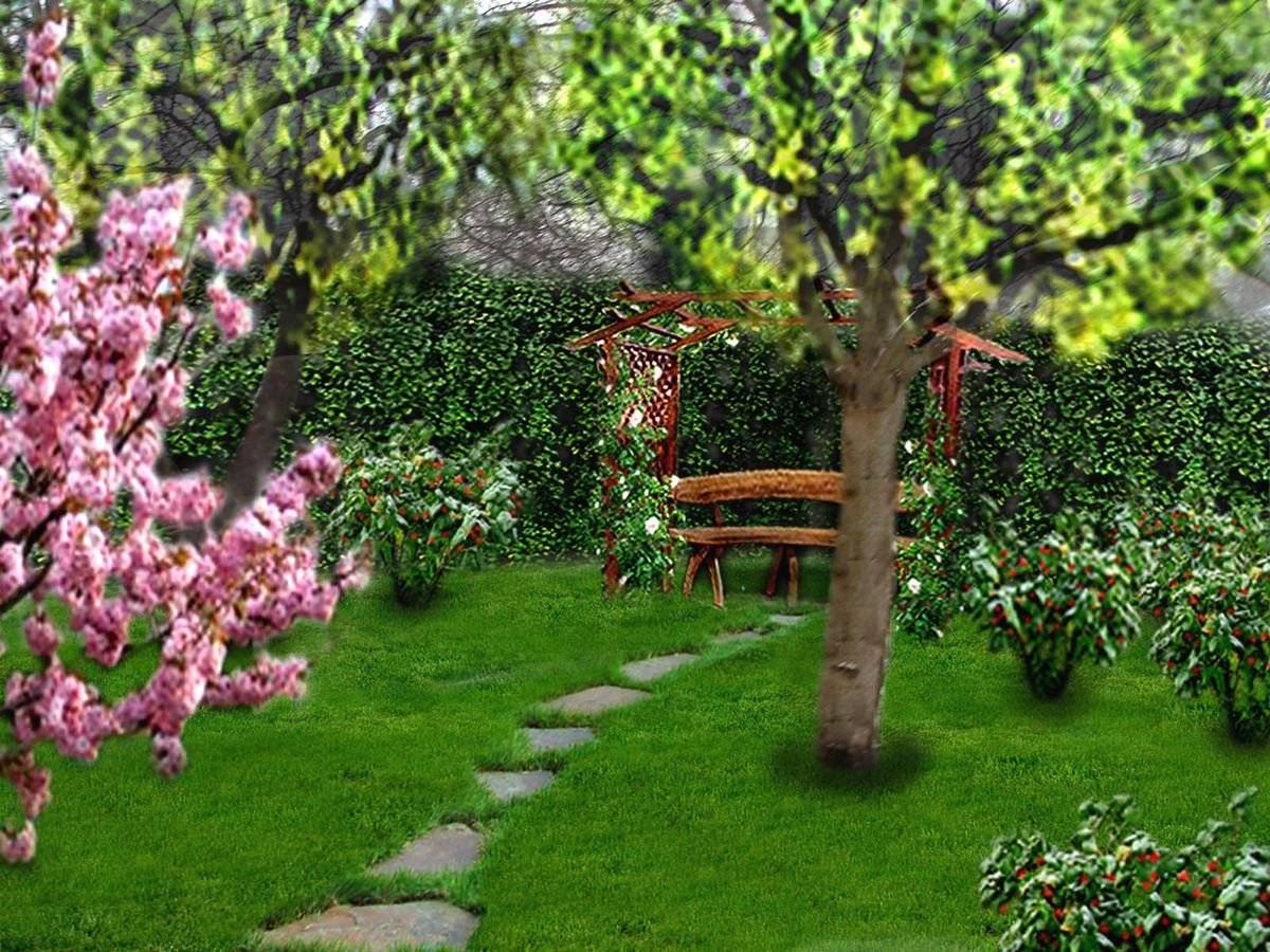 Сад на дачном участке с плодовыми деревьями фото
